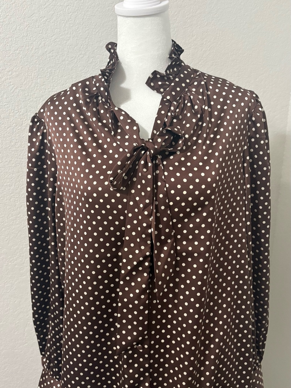 Brown Polka Dot Tie-Neck Blouse - Women